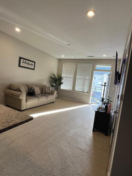 Clean Free Carpet Cleaning