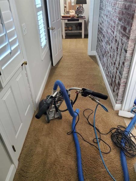 Clean Free Carpet Cleaning