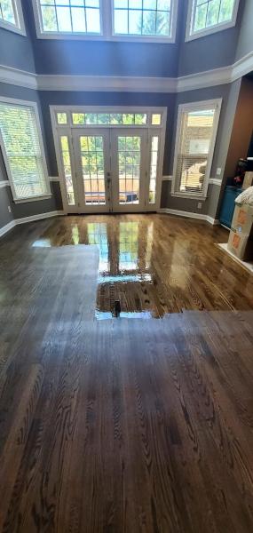 Clean Free Carpet Cleaning