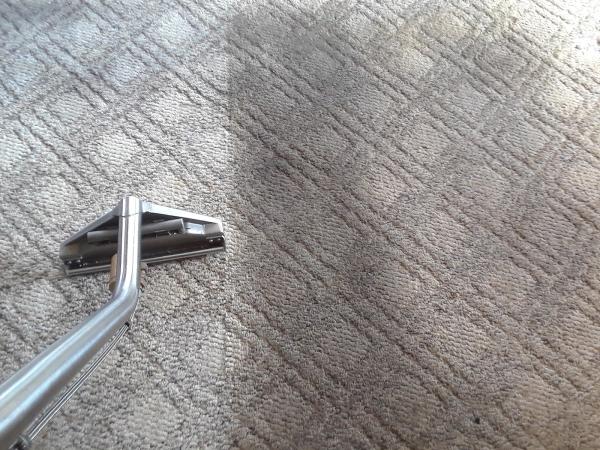 Bradenton Carpet Cleaner