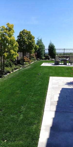Willy's Landscaping