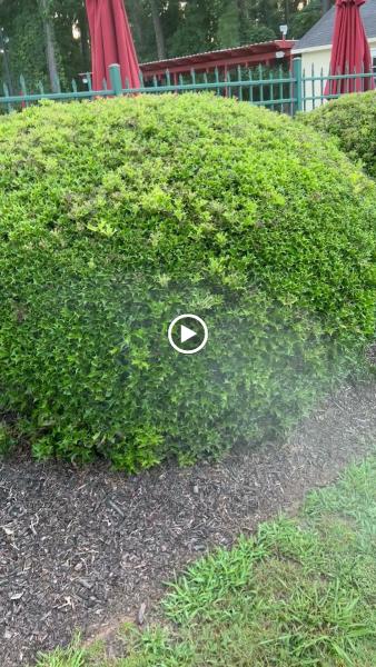Augusta Mosquito Control