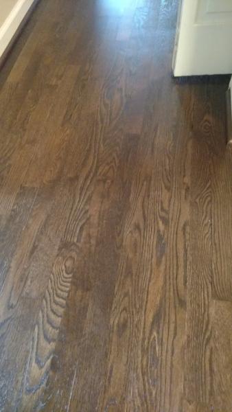 Dustless Reshine