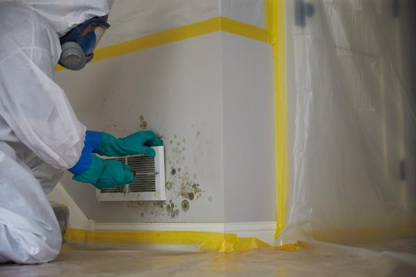 Servicemaster Cleaning Specialists