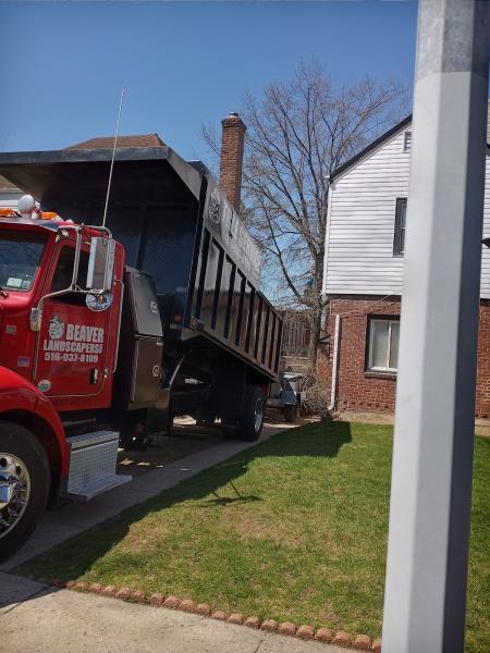 Beaver Tree Services