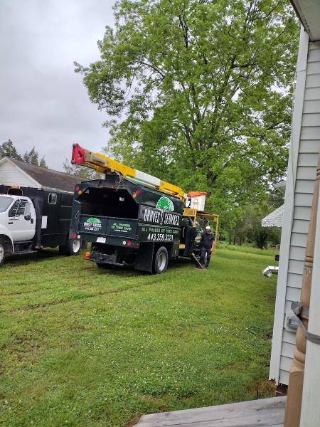 Graves Services