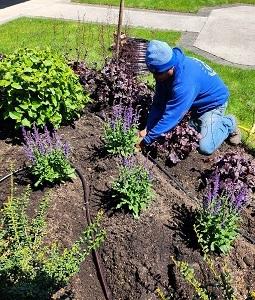 Frontier Landscaping