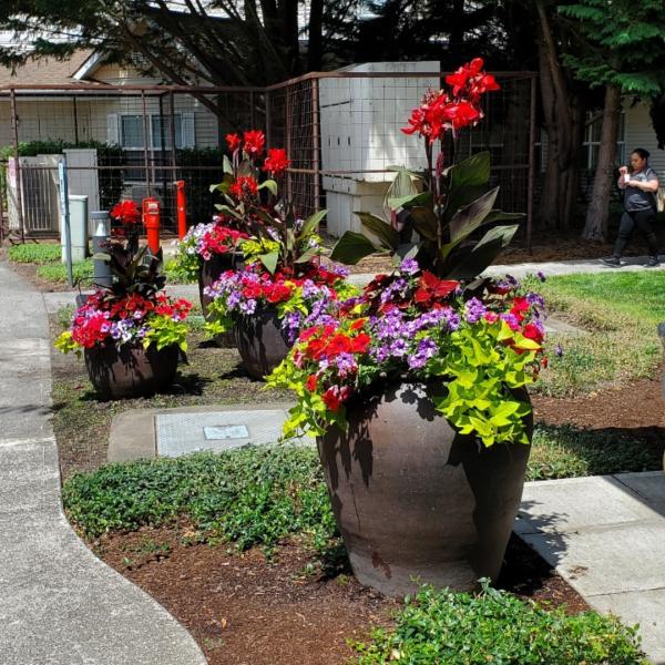 Frontier Landscaping