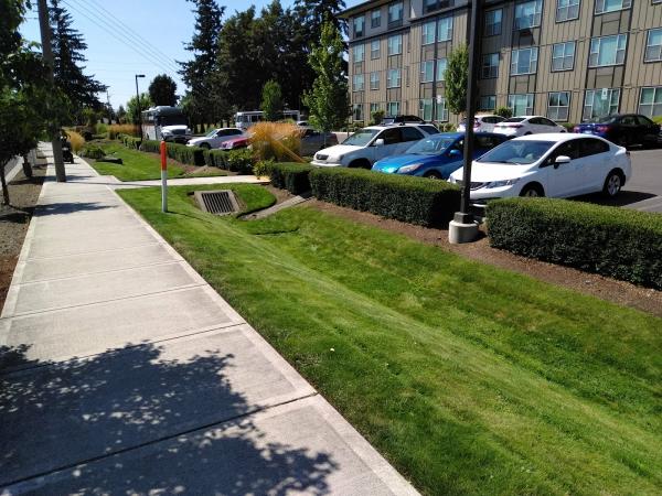Frontier Landscaping