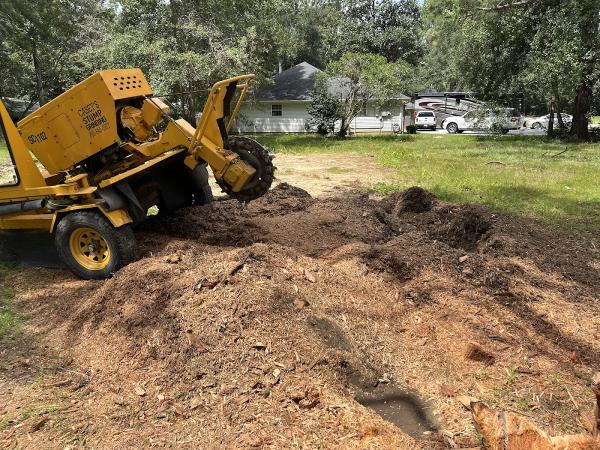 Casey's Stump-Grinding