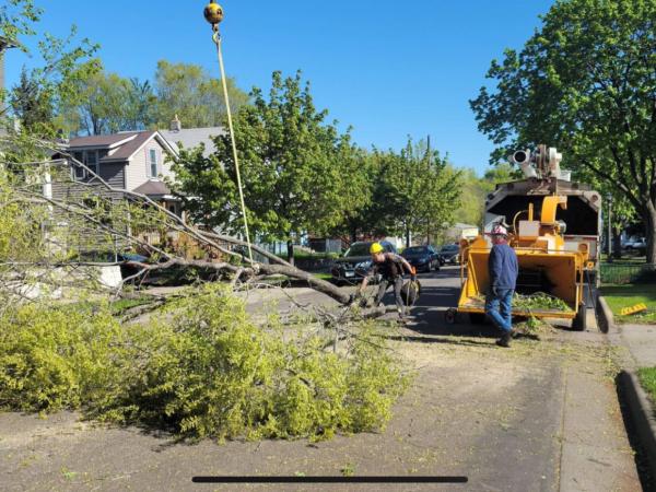 Above Ground Tree and Landscape LLC