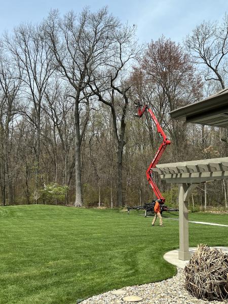 Above & Beyond Tree and Shrubbery Service