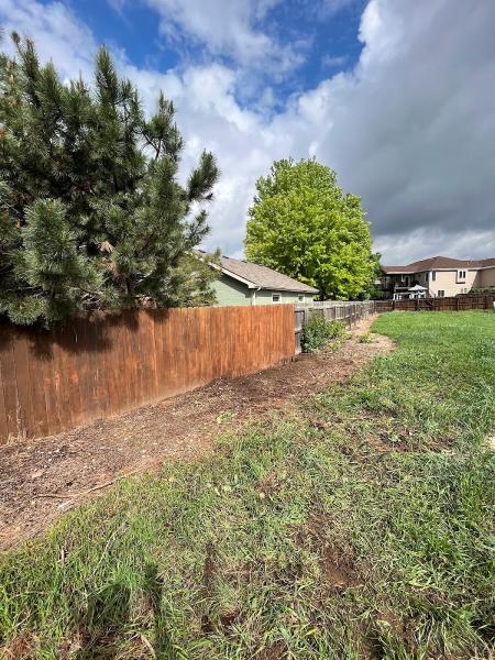 Oasis Tree and Landscaping Services