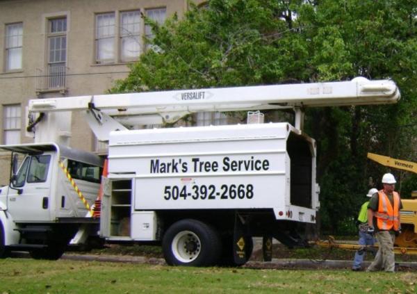 Mark's Tree & Stump Service