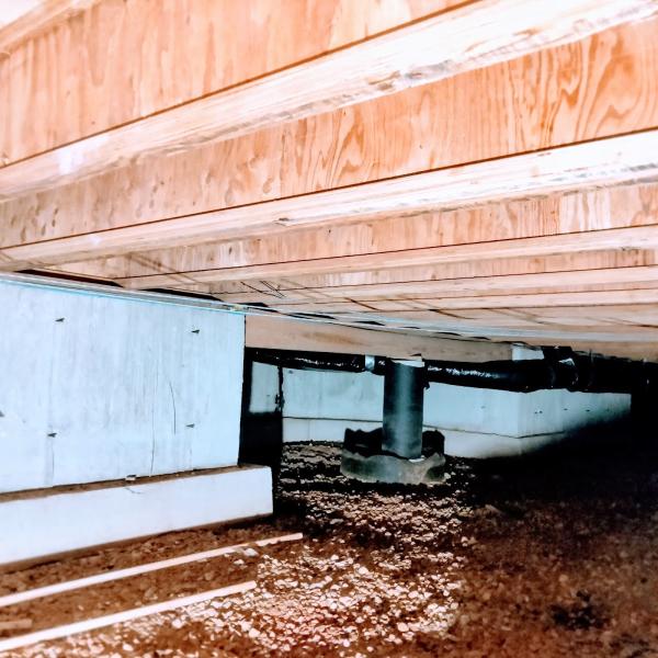 A-Trustworthy Crawlspace Service
