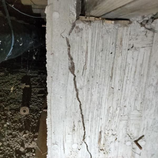 A-Trustworthy Crawlspace Service