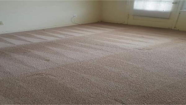 USA Carpet Care & Dye