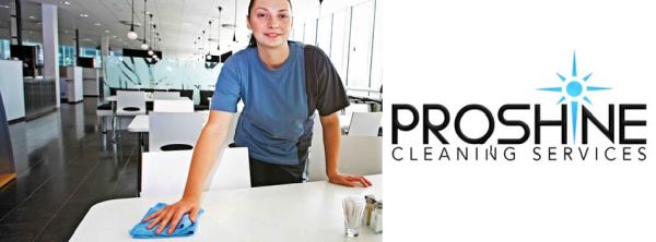 Pro Shine Cleaning Services