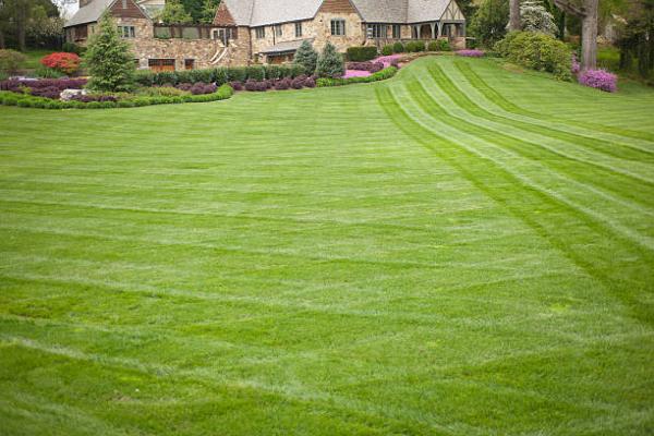 Performance Lawn & Landscape