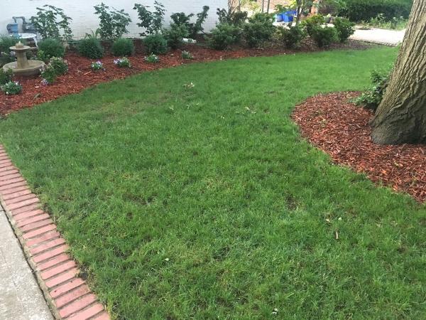 Heinen Landscape & Irrigation