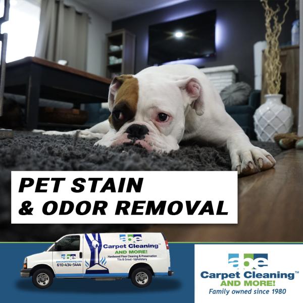 ABE Carpet Cleaning and More