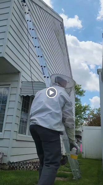 Recon Pest Control Inc