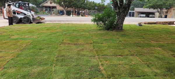 Backyard Landscaping