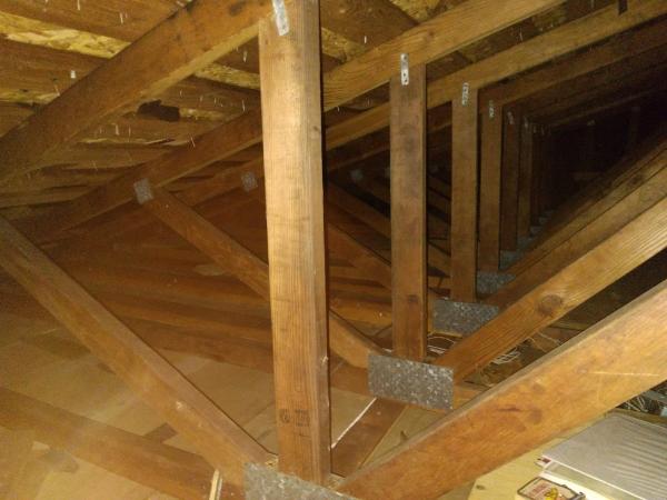 Attic Renew 360