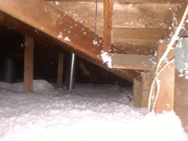 Attic Renew 360