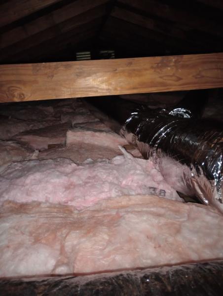 Attic Renew 360