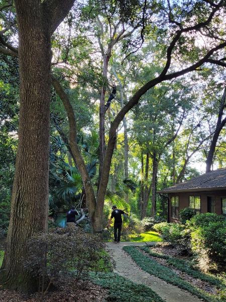 Love's Tree Care