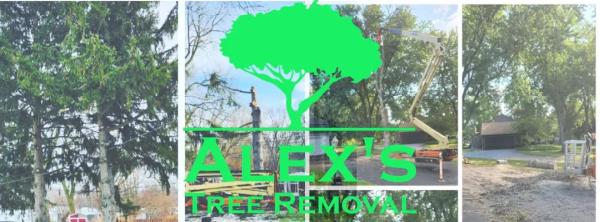 Alex's Tree Removal