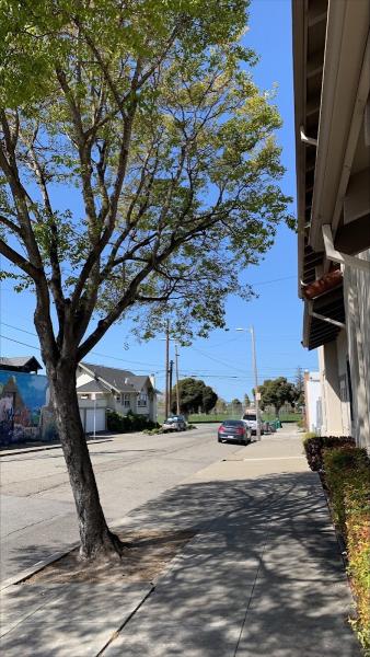 Johnson's Tree Care Inc