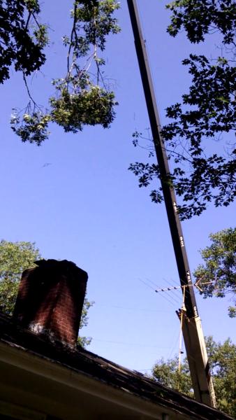 J Bonin Tree Services