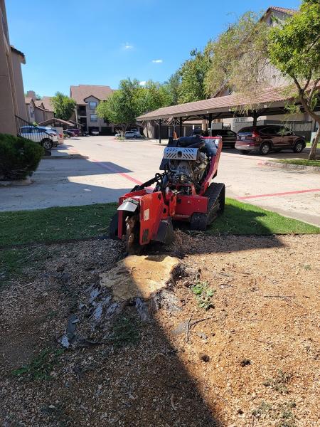 The DFW Stump Grinder
