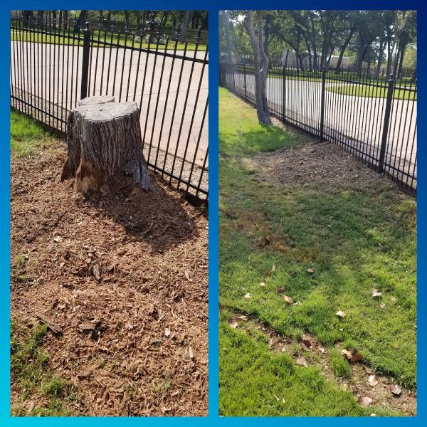 The DFW Stump Grinder