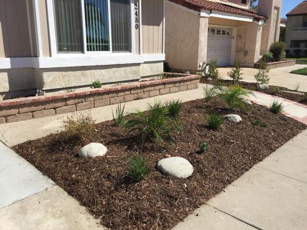 Vision Landscaping