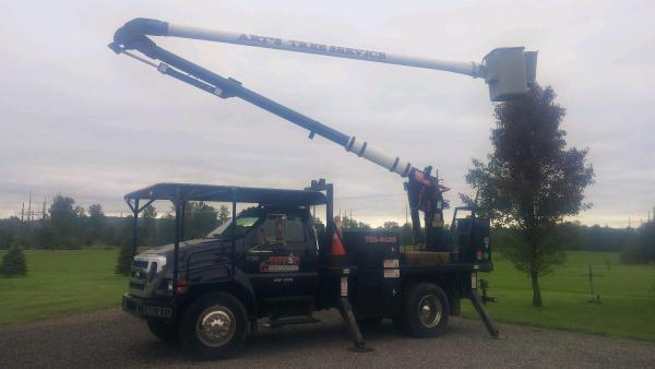 Art's Tree & Stump Removal