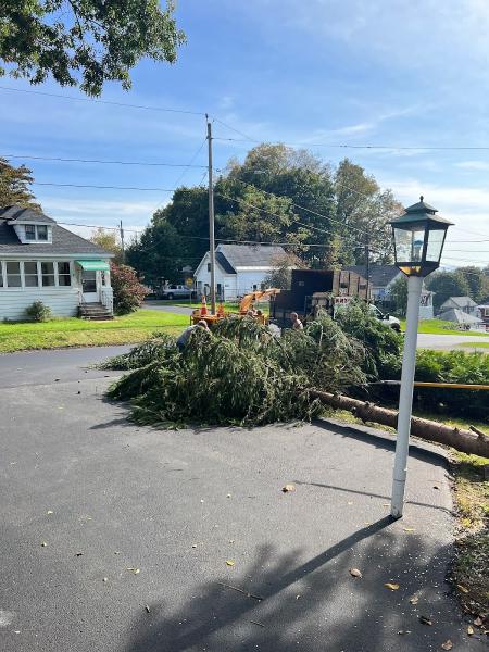 Art's Tree & Stump Removal