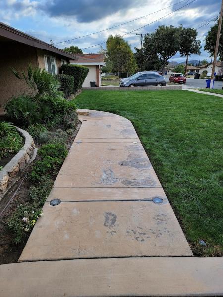 Advanced Landscape and Hydroseeding