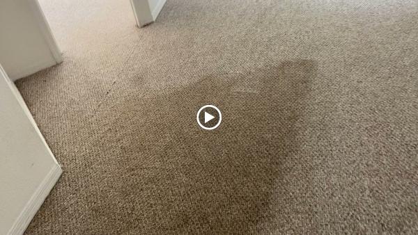 Absolute Carpet Care