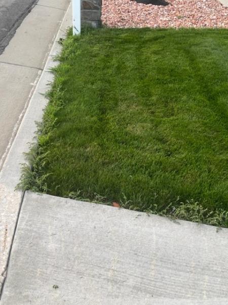 Stewart's Lawn Care and Pest Control