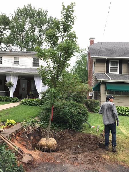 Four Seasons Tree & Landscaping