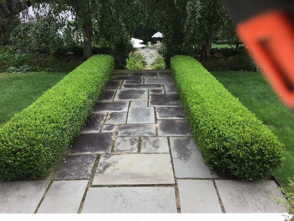 Woodbridge Estate Care