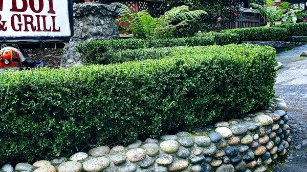 Marcelo Ruiz Handyman & Landscaping Service