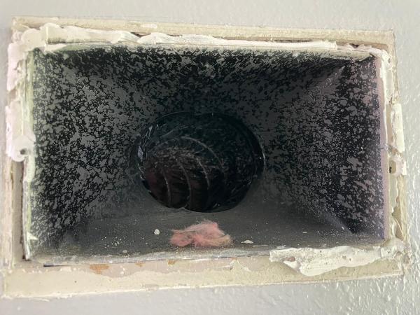 Greengenics Dryer Duct Cleaning