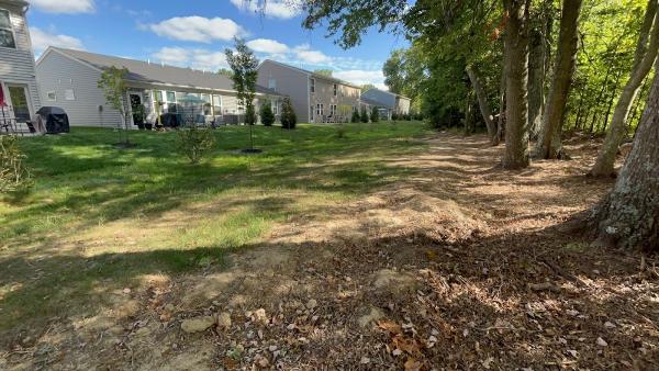 A & J Tree Removal