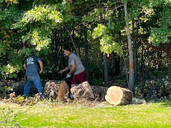A & J Tree Removal