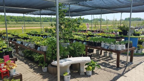 Bauman Nursery & Landscaping LLC