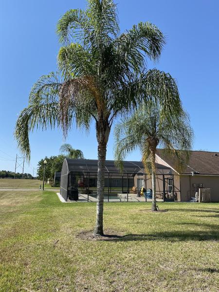 D&A Lawn Care and Outdoor Solutions Llc